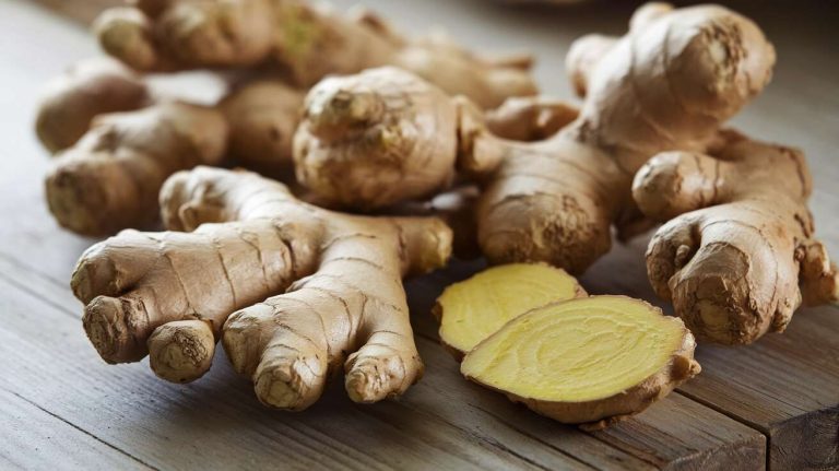 Comment pousse le gingembre : guide étape par étape pour réussir sa culture