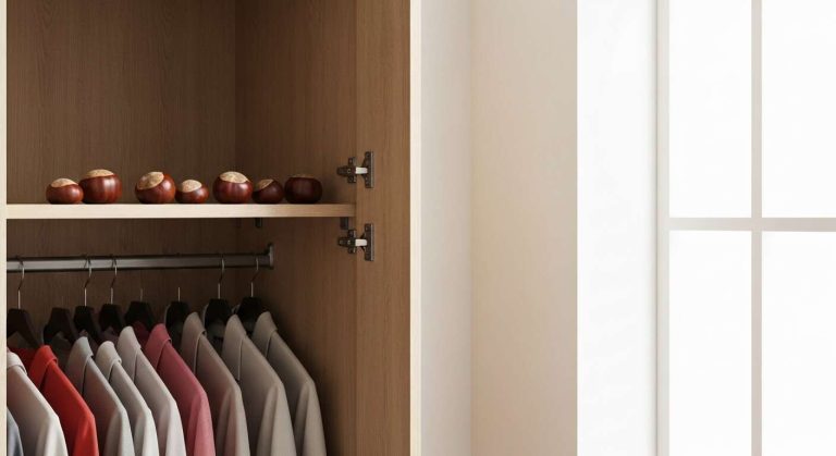 Voici pourquoi vous devriez mettre quelques marrons dans vos placards et armoires (et pas seulement pour les araignées)