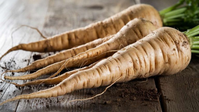 Ce légume oublié des grands-parents se sème en octobre et résiste aux hivers les plus rigoureux